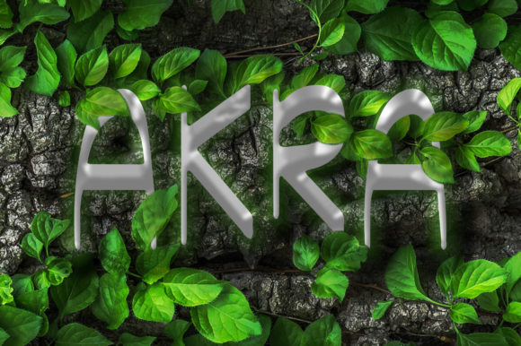 Akra: A Handwritten Font That Elevates Branding