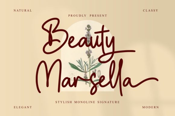 Beauty Marsella Script Font Review